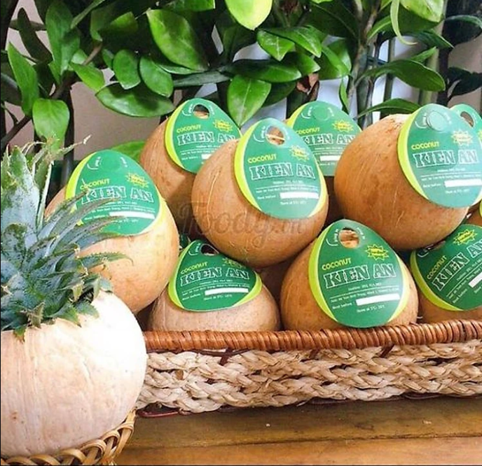 Trái Dừa Xiêm Trọc Baby (Size 400-500gr)